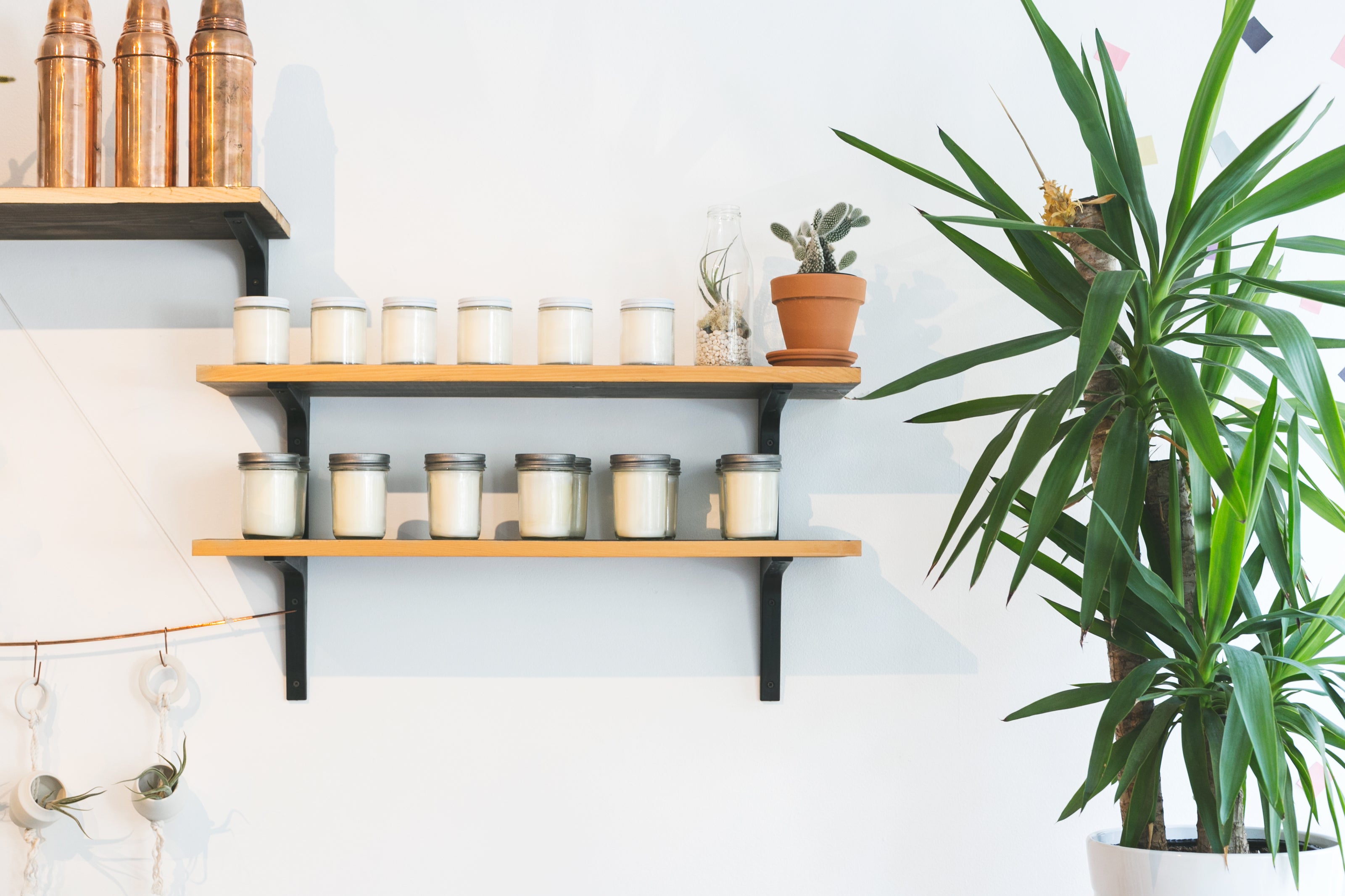 Shopify-agency,Shopify-partner,Shopify-expert,Shopify-Development,Shopify-plus,Eshop,Hong-Kong,HK,Singapore,SG,Australia,AU,USA,UK,United-states,United-Kingdom-PPL-Commerce